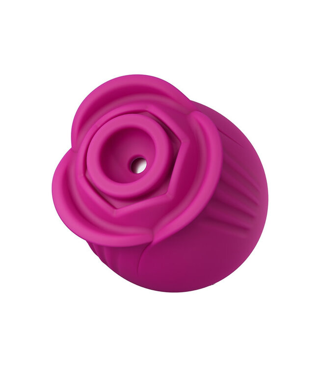 Blush Collection The Original Blush Rose Velvet