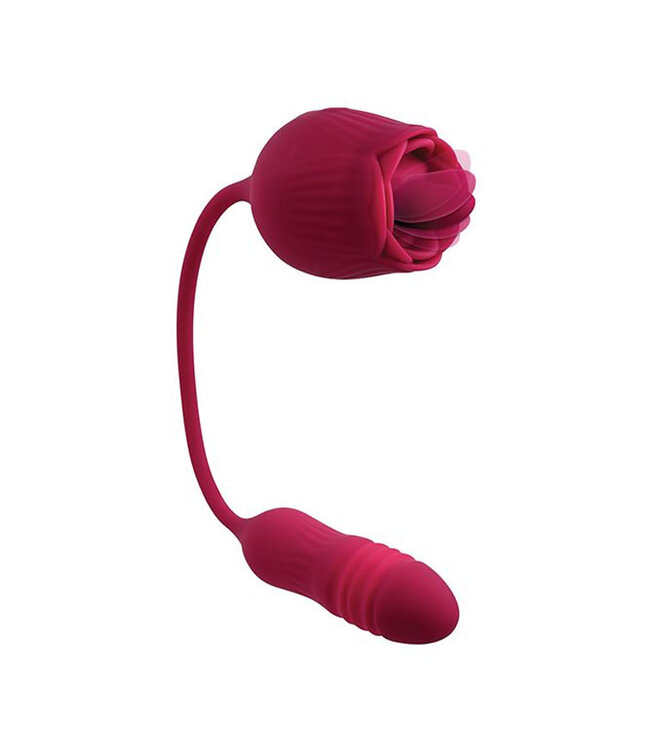 Evolved Wild Rose Red