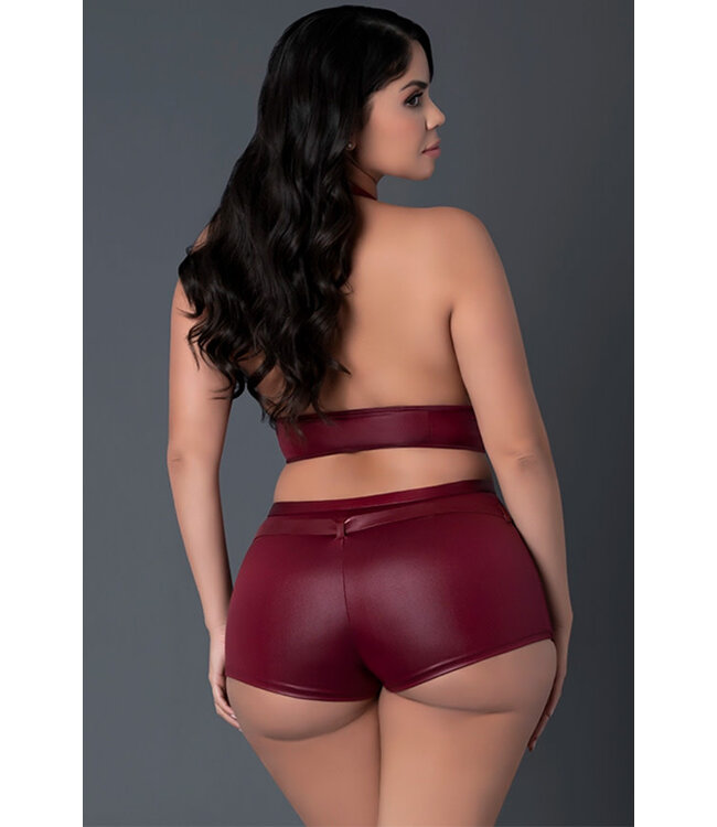 Corynn Plus Burgundy Set PAK261 Queen
