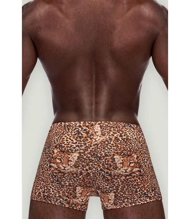 Jerri Animal Men's Boxer 153030