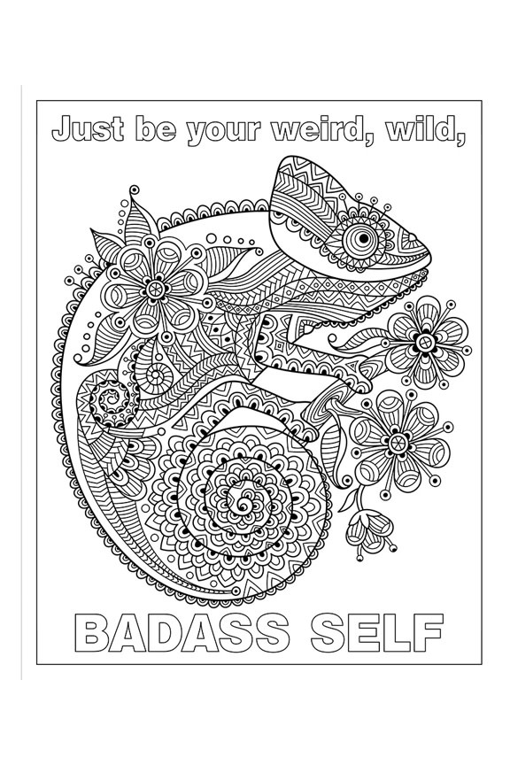 F*cking Fantastic: A Colossal Kick-Ass Coloring Book - Karnation ...
