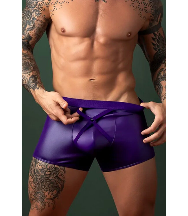Sid Plum Men's Boxer Brief 152302