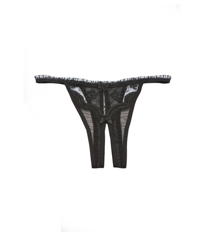 Plus Scalloped Embroidered Crotchless Panty X10