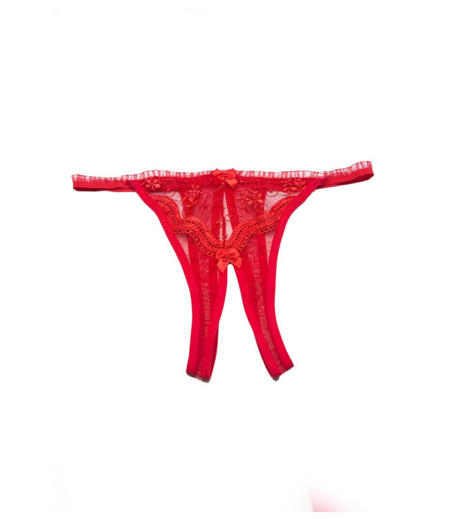 Plus Scalloped Embroidered Crotchless Panty X10