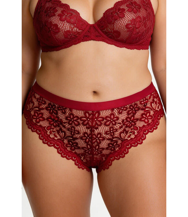 Plus Lace Panty 7567