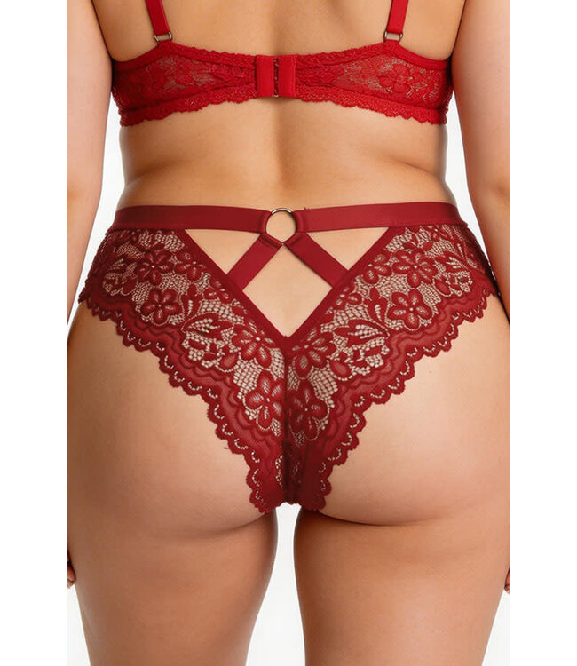 Plus Lace Panty 7567