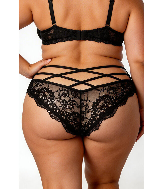 Plus Lace Panty 6580-1X