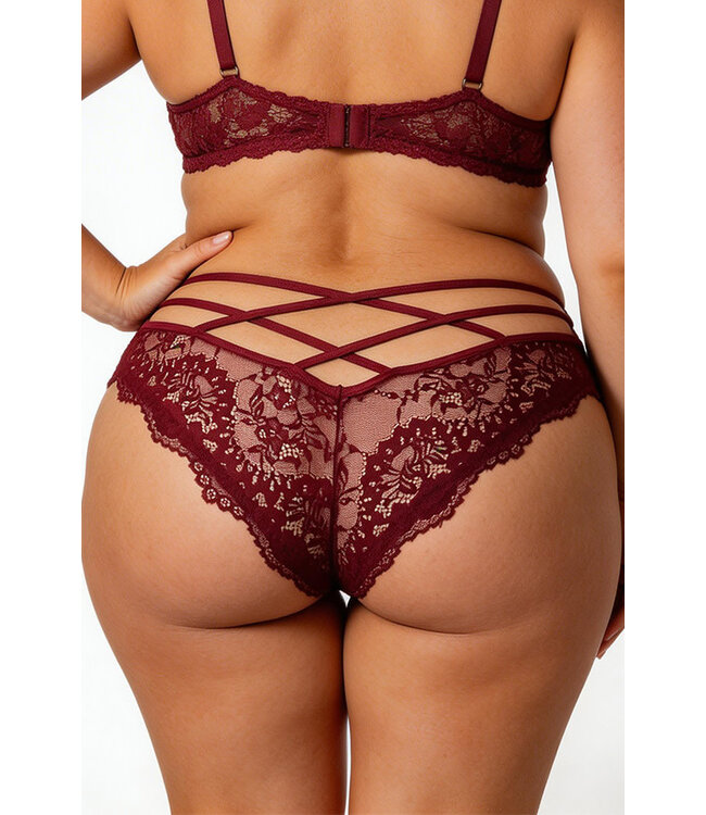 Plus Lace Panty 6580-1X
