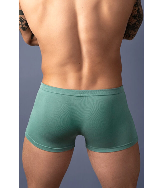 Jason Green Men's Boxer Brief 150308