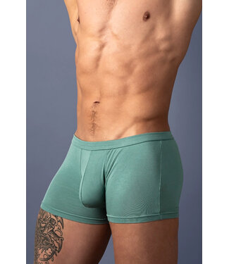 Jason Green Men's Boxer Brief 150308