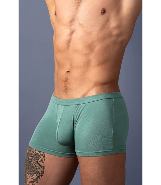 Jason Green Men's Boxer Brief 150308