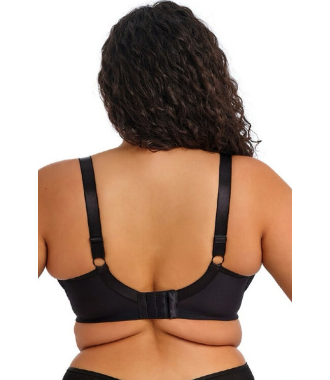 Elomi Teagan Padded Half Cup Rainbow Bra EL302615