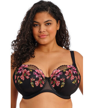 Elomi Teagan Padded Half Cup Rainbow Bra EL302615