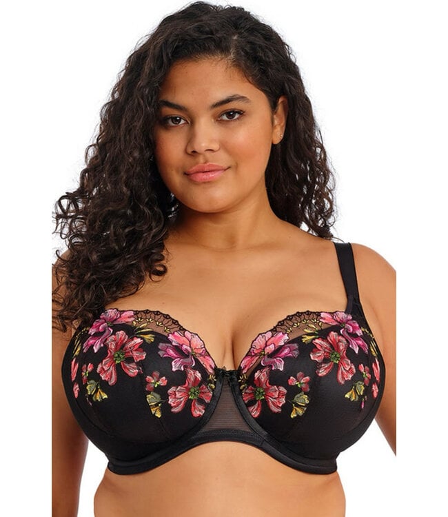 Elomi Teagan Padded Half Cup Rainbow Bra EL302615