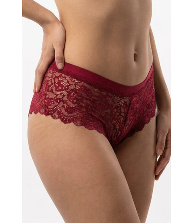 Lace Boyshort 1509