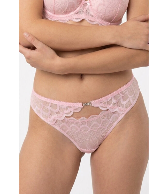 Lace Panty 116