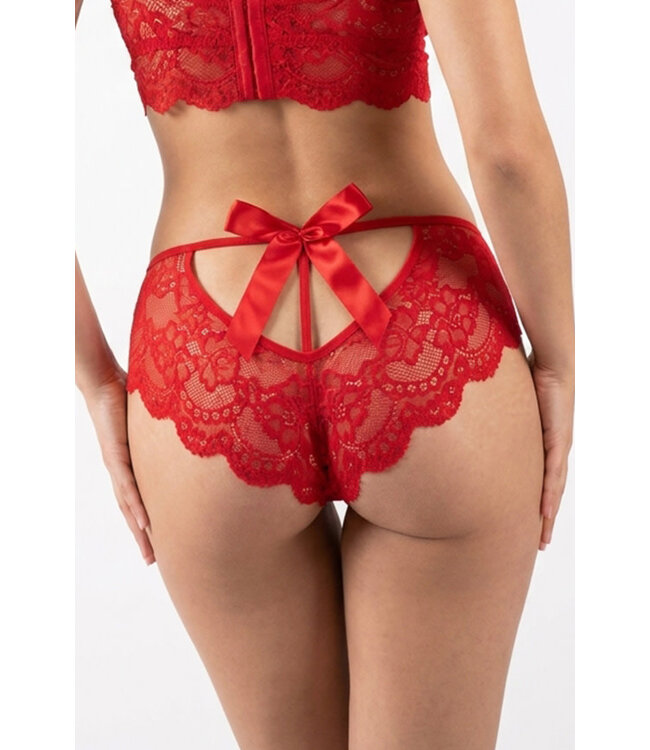 Lace Crotchless Panty 4386