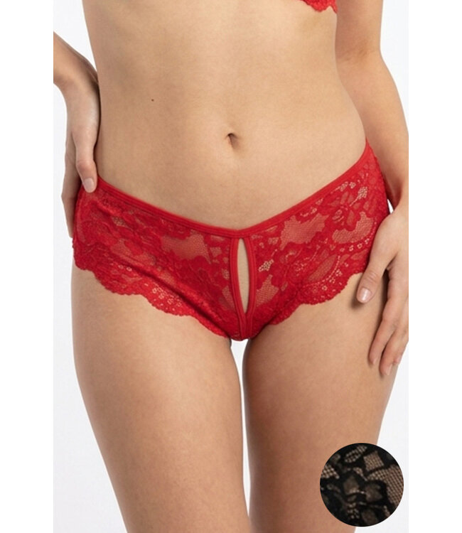 Lace Crotchless Panty 4386