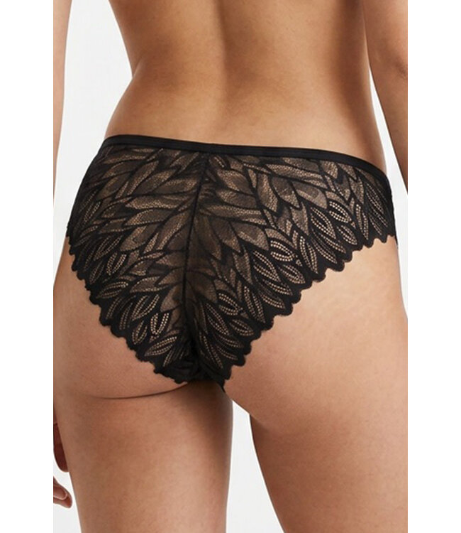 Delicate Lace Panty 6660