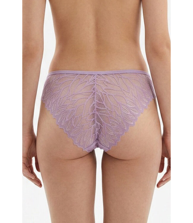 Delicate Lace Panty 6660
