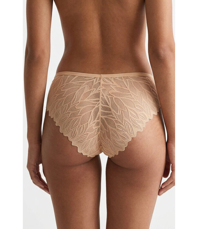 Delicate Lace Panty 6660