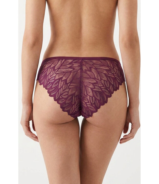 Delicate Lace Panty 6660