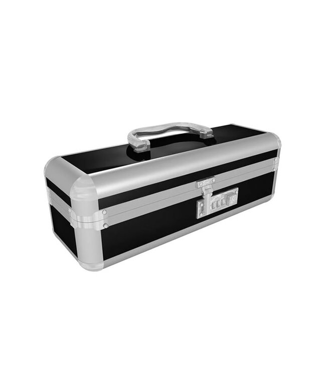 The Toy Chest Lockable Vibrator Case Medium Black