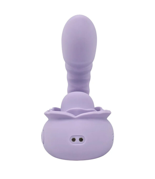 Adam & Eve Lilac Licks