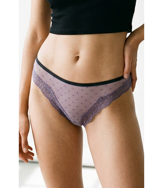 Sheer Cheeky Panty 1036