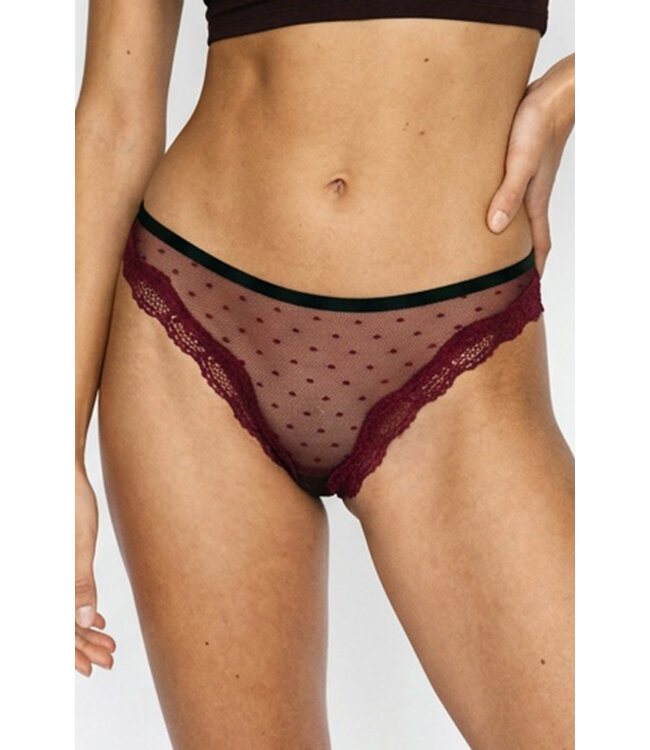 Sheer Cheeky Panty 1036