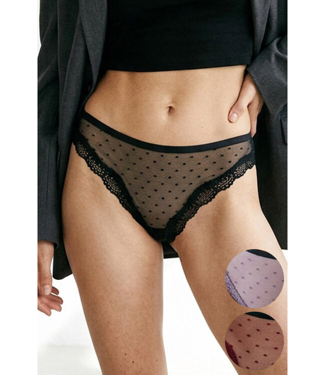Sheer Cheeky Panty 1036