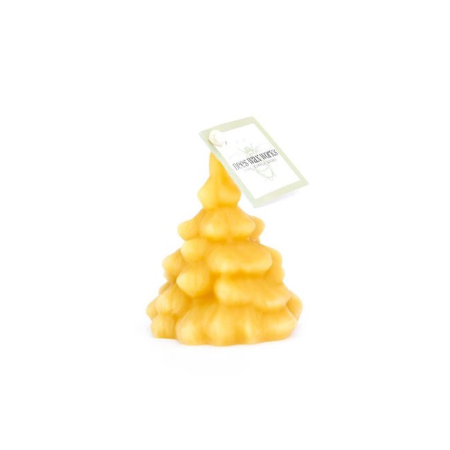 Spruce Tree Beeswax  Candle