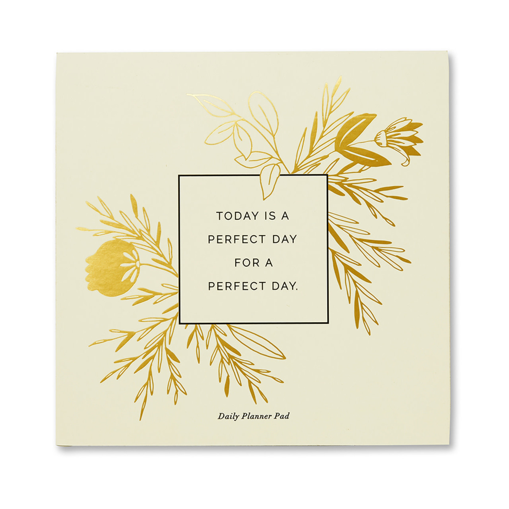 COMPENDIUM DAILY PLANNER PAD - TODAY IS A PERFECT DAY FOR A PERFECT DAY