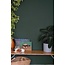 Duck Green - No. W55