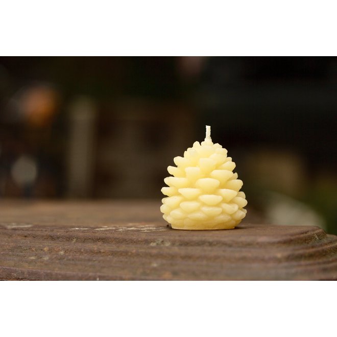 BEESWAX WEE PINE CONE