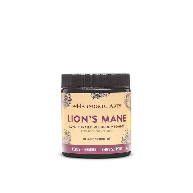 LION'S MANE CONCENTRATED POWDER