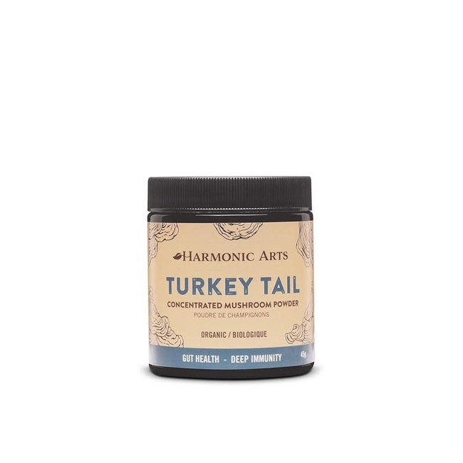 Turkey Tail Concentrated Mushroom Powder