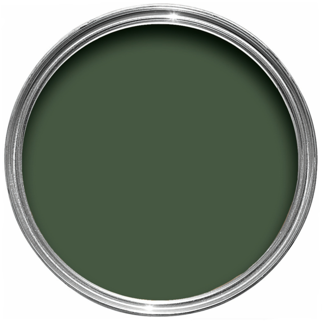 Duck Green - No. W55