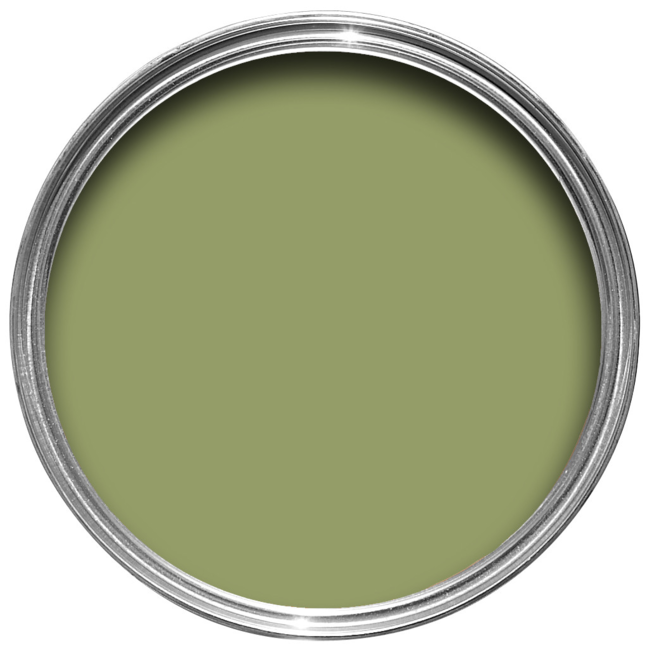 Archive Collection: Olive - No. 13