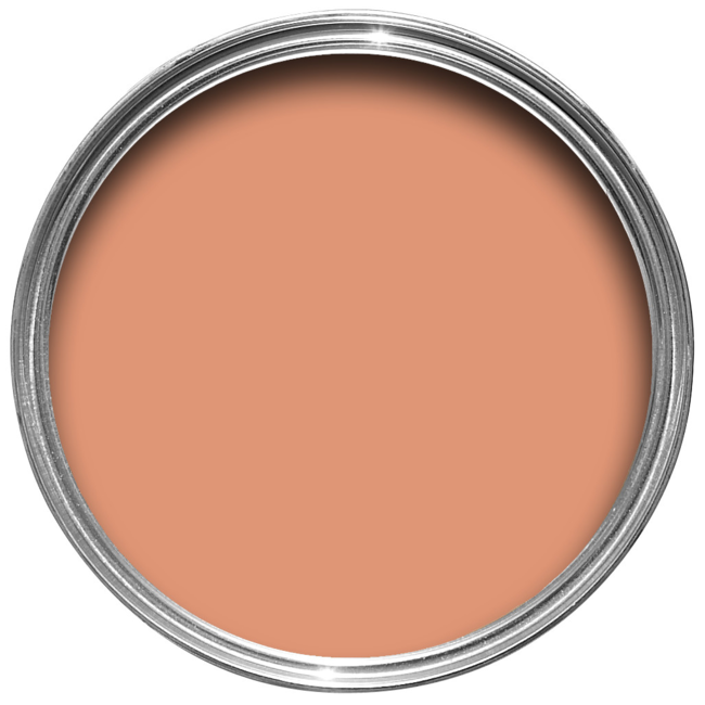 Archive Collection: Ointment Pink - No. 21