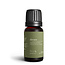 Fern & Petal Dream Essential Oil Blend