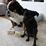 Pet Shampoo Bar + Soap Dish Set