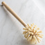 Casa Agave® Long Handle Multipurpose Brush