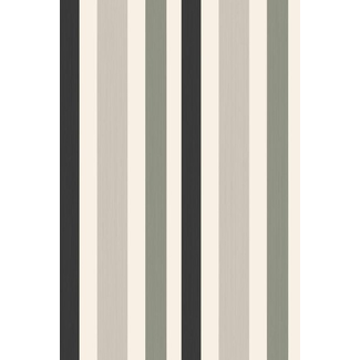 Farrow & Ball Chromatic Stripe