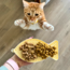 Slow Feeder Lick Mat For Cats