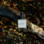 Saltspring eau de parfum