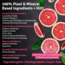 Grapefruit Dish Liquid