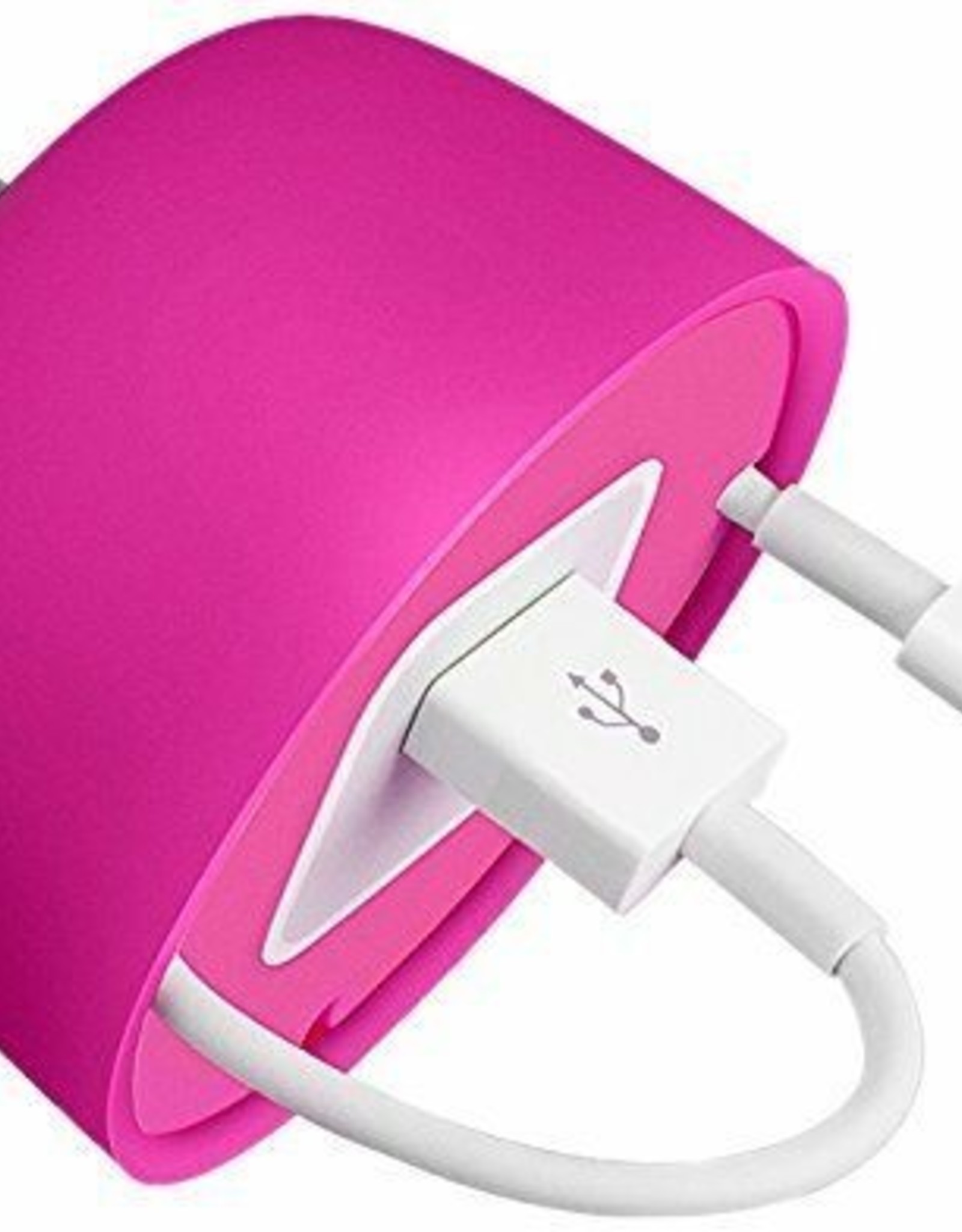 Powercurl charger Apple USB