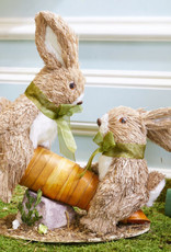 Teeter & Totter The Natural Bunnies On A Seesaw