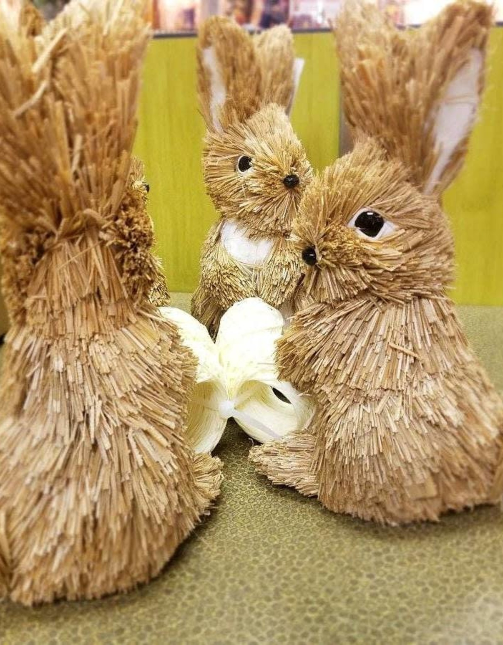 Set of 4 Easter Bunny Sisal Napkin Holders